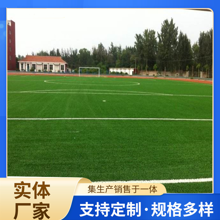 宿迁市EPDM颗粒人造草坪 - 方案